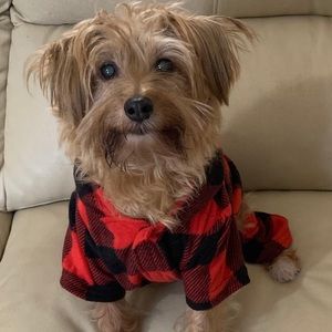 Meet your Posher, Angeida